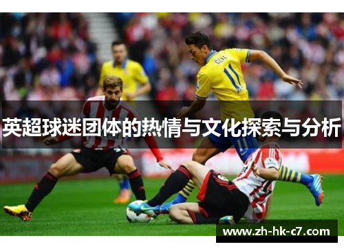 英超球迷团体的热情与文化探索与分析