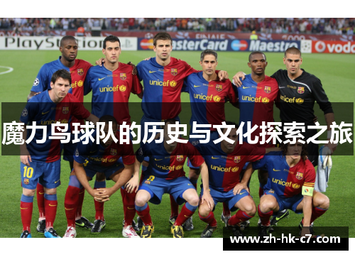 魔力鸟球队的历史与文化探索之旅