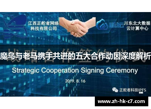 魔鸟与老马携手共进的五大合作动因深度解析