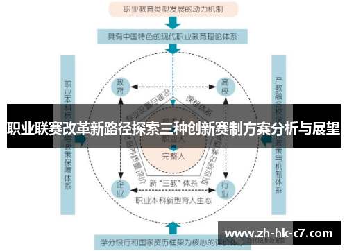 职业联赛改革新路径探索三种创新赛制方案分析与展望