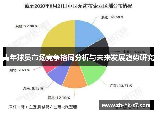 青年球员市场竞争格局分析与未来发展趋势研究