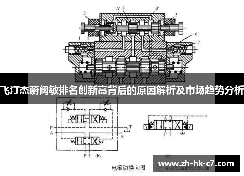 飞汀杰蔚阀敏排名创新高背后的原因解析及市场趋势分析